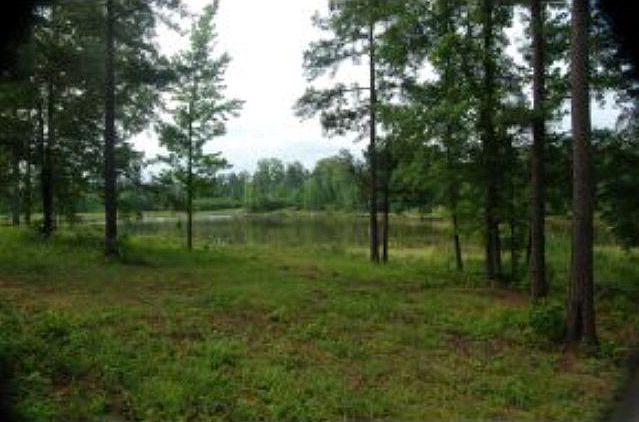1st image of 1100 Tanyard Creek Dr