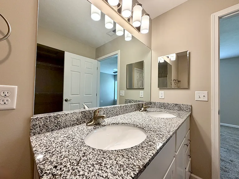 Primary bathroom comes with double vanity