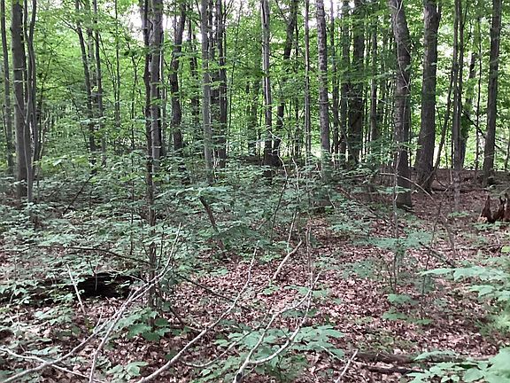 3rd image of LOT 605 Crestwood Cir
