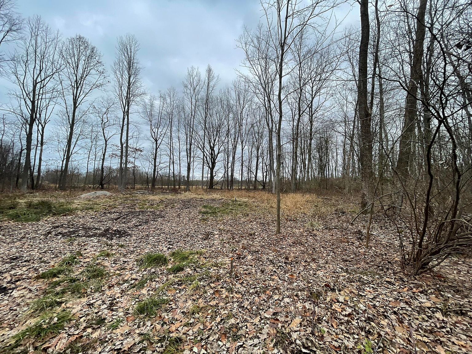 7043 Glenn Oaks Rd, South Haven, MI 49090 Zillow