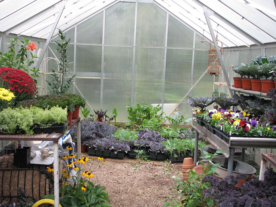 Greenhouse