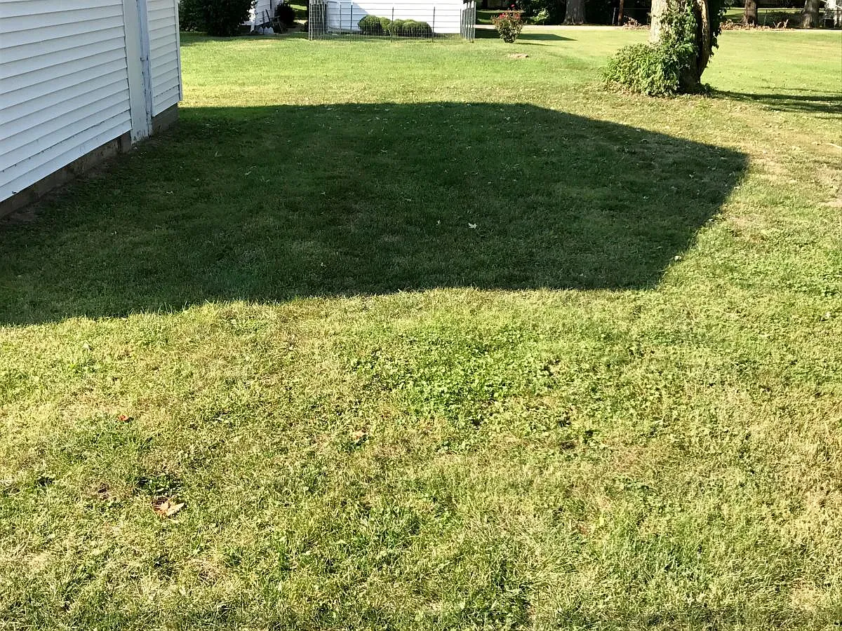 2 bed, 1100 sqft, $1,200 — Photo 4