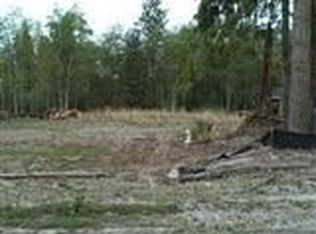 251 Toutle River Rd, Castle Rock, WA 98611