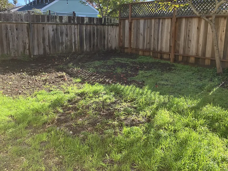 2041 Encina Dr — Photo 13