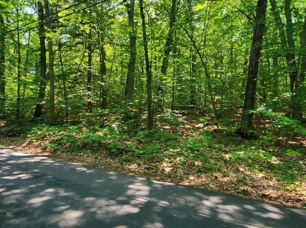 Lot #006 Trickey Pond Road, Naples, ME 04055