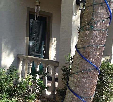 4th image of 4 Larchmont Pl