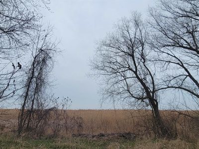 0 Saginaw Bay Shore Dr N, Pinconning, MI, 48650
