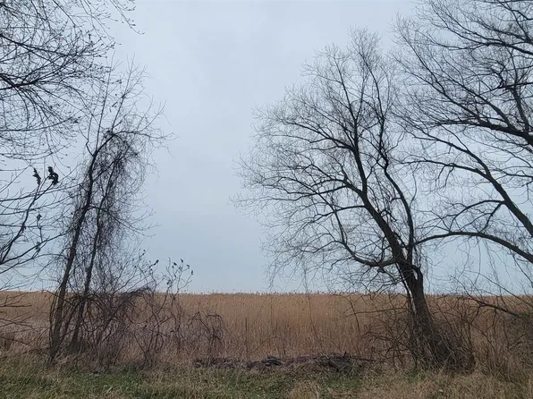 0 Saginaw Bay Shore Dr N, Pinconning, MI 48650