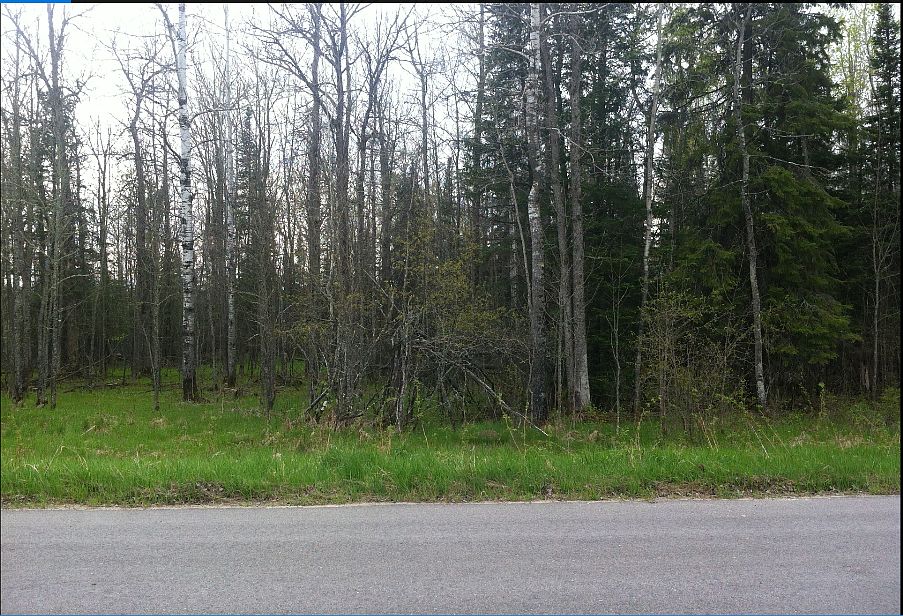 2nd image of 103 Lund Rd