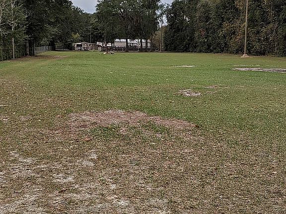 4th image of 345 Star Lake Dr