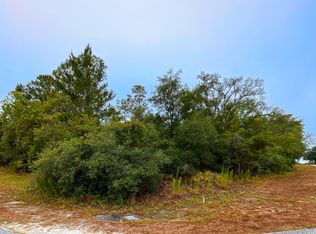 8453 Christopher Ln, Weeki Wachee, FL 34613