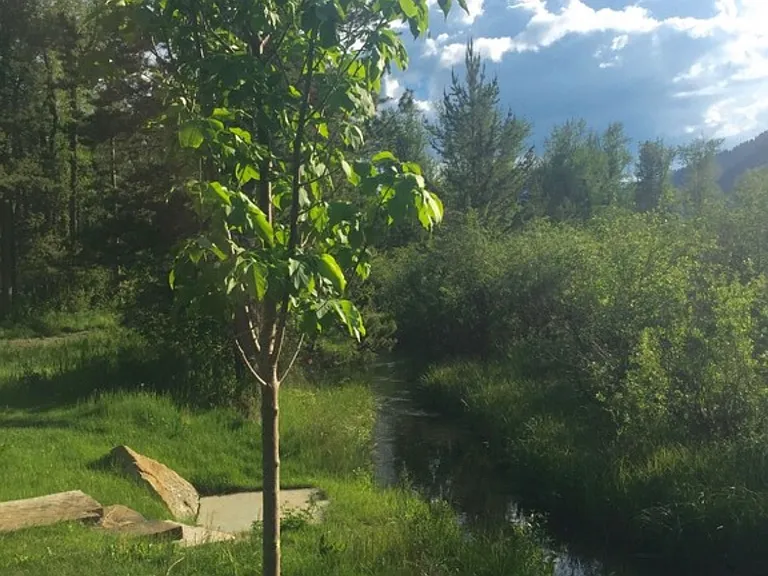 W Beaver Pond Rd — Photo 10