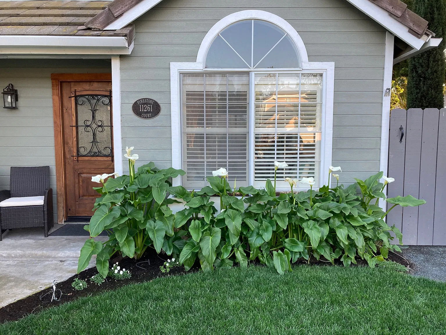 3 bed, 1300 sqft, $5,250 — Photo 4