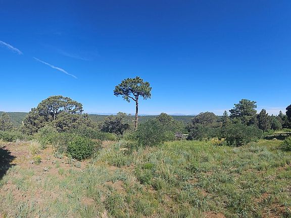 4th image of 33021 Big Springs Overlook