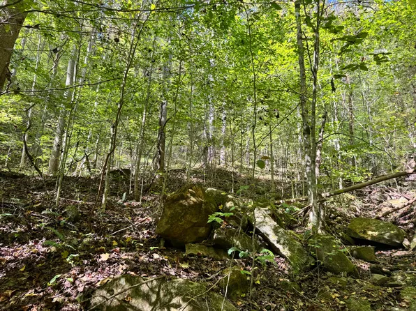 9950 Hector Rd, Manchester, KY 40962