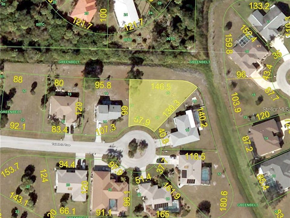 2nd image of 456 Tabebuia Tree Punta