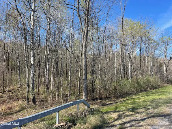 Lot 26 Highway Route 20, Sharon Springs, NY 13459