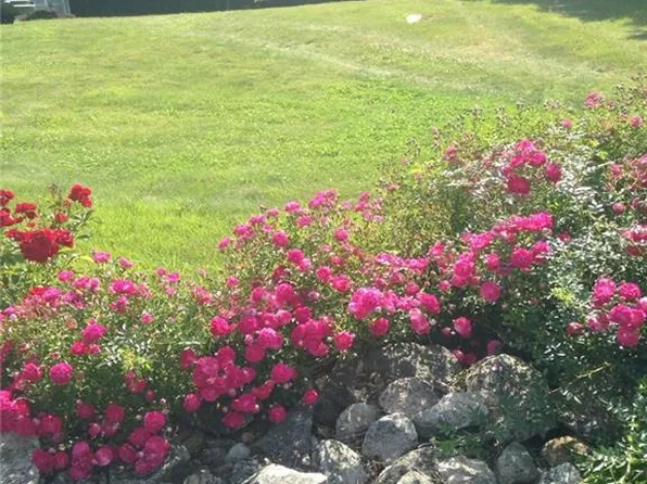 1050 Main Rd, Westport, MA 02790