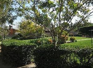 4th image of 626 S Peregrine St