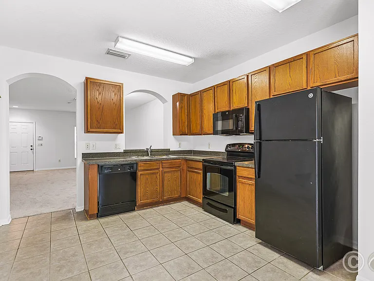 15807 Fishhawk Falls Dr — Photo 7