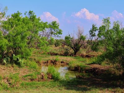 S51 County Rd, Crystal City, TX, 78839