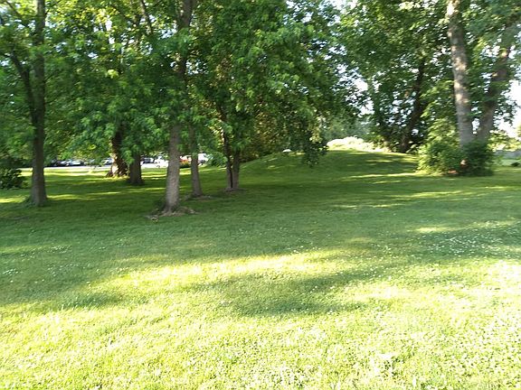 Back yard area