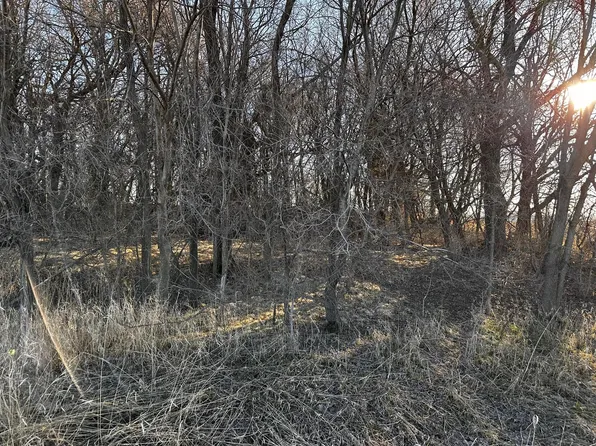 NE 34th Ave, Medford, MN 55049