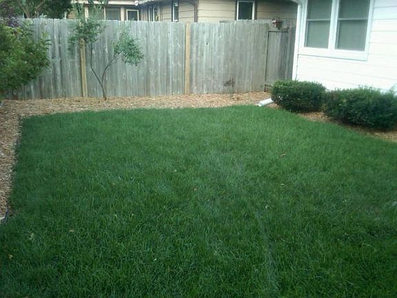 additional backyard