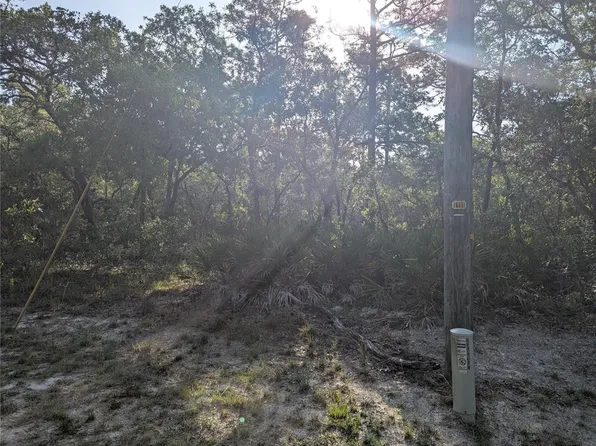 19036 Retriever Rd Lot 1, Brooksville, FL 34614