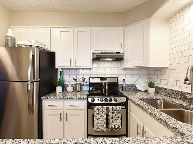 Black & Stainless Appliances