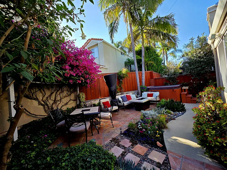 Back yard