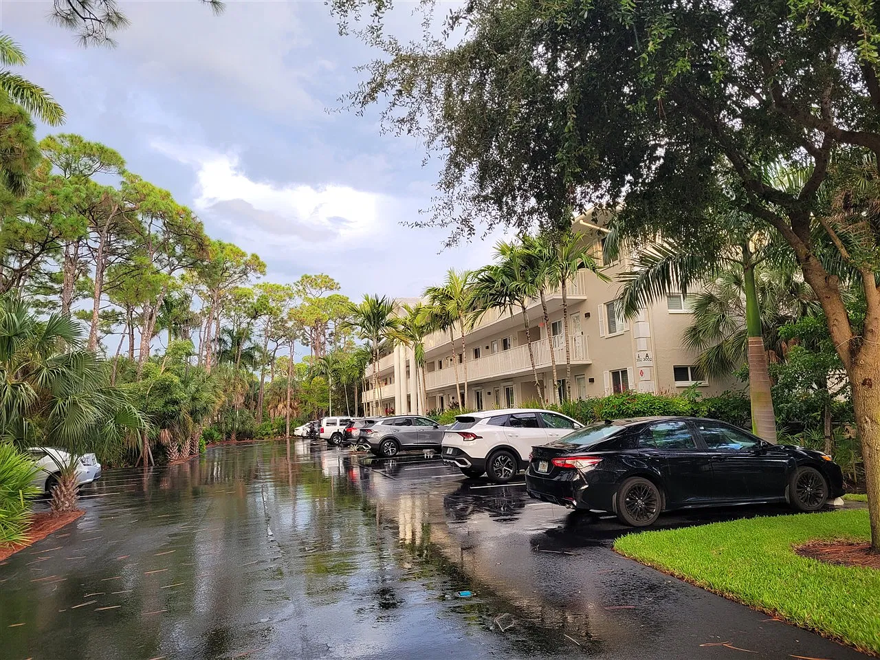 2 bed, 1100 sqft, $3,000 — Photo 3