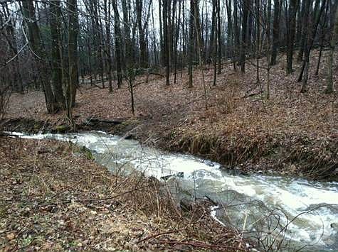 stream at back of property