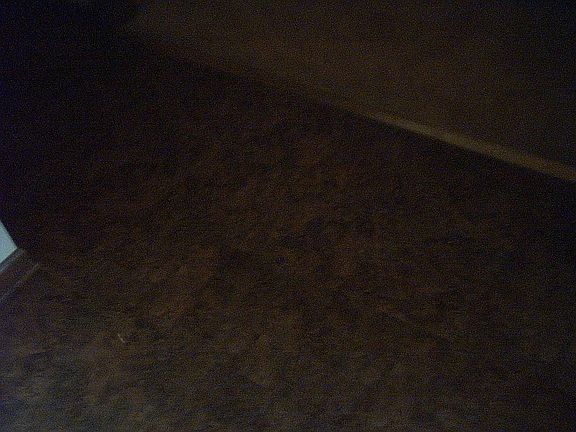4th image of 6026 Buckskin Ct
