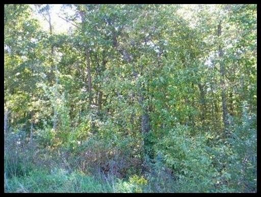 2nd image of 225 Northwood Dr