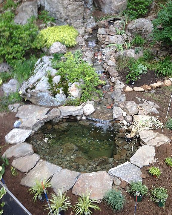 pond