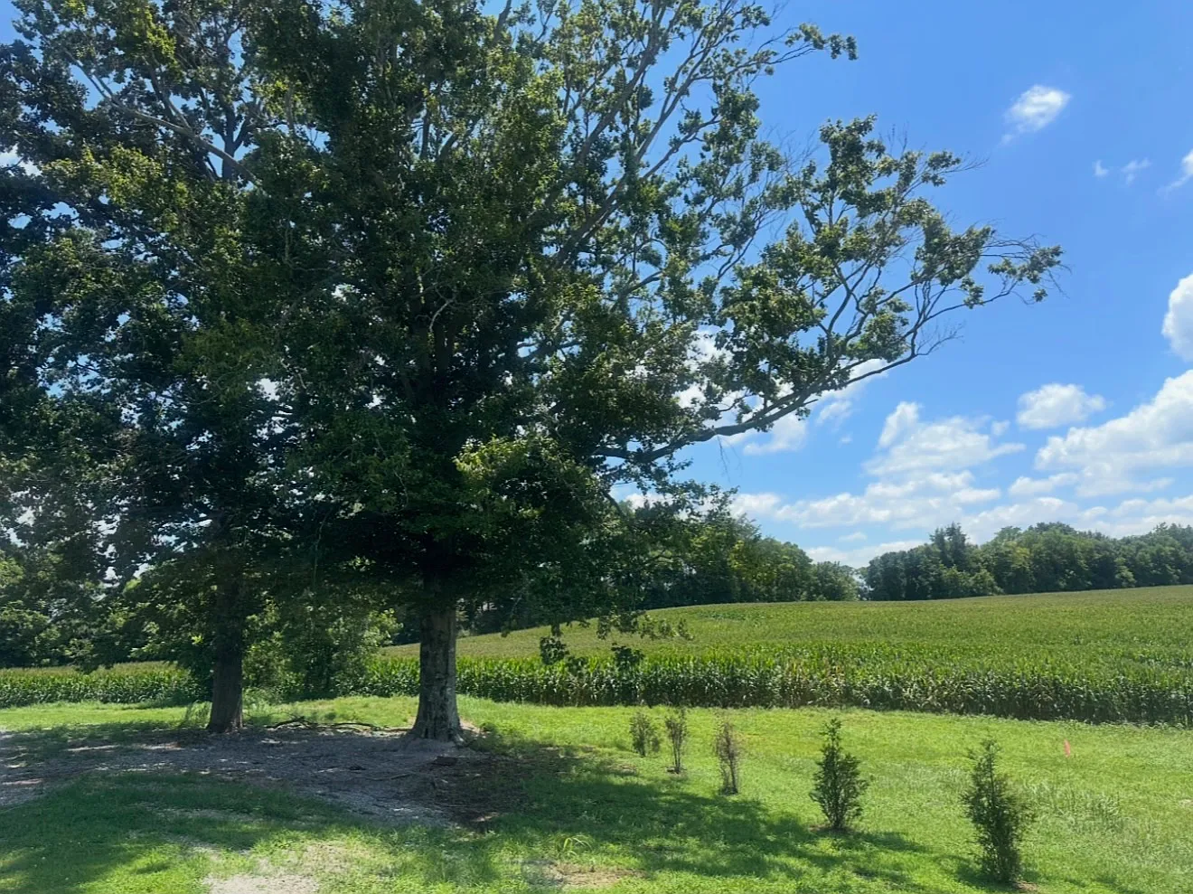 Friendly Acres — Photo 2