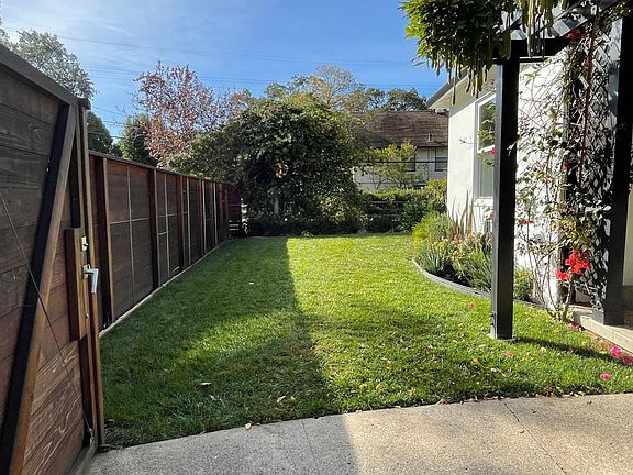 Frontyard #2