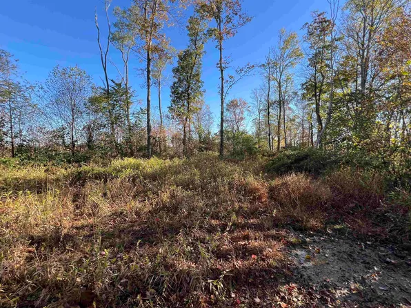 3000 Mount Zion Rd, Parsons, WV 26287