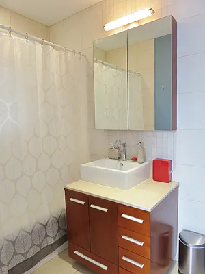 Rented by Brooklyn Heights Real Estate Inc | media 52