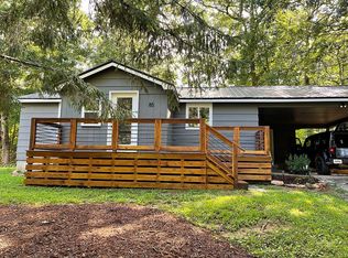 85 Idaho Dr, Blue Ridge, GA 30513