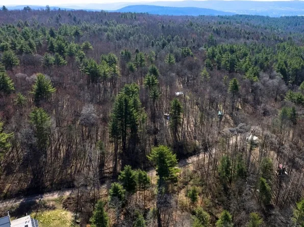 0 Schlafer Rd Lot 21, Bainbridge, NY 13733