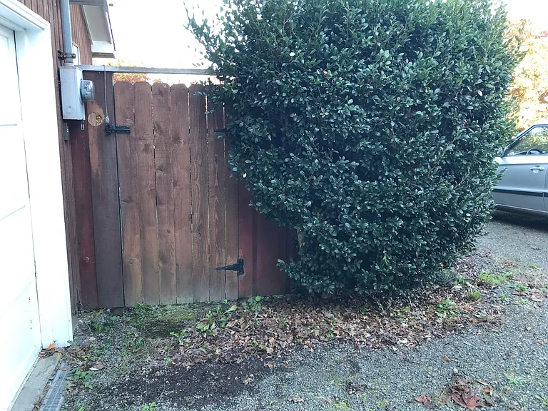 1609 7th Ave SE #B — Photo 3