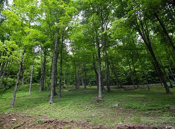 4th image of Tbd Orchard Lane