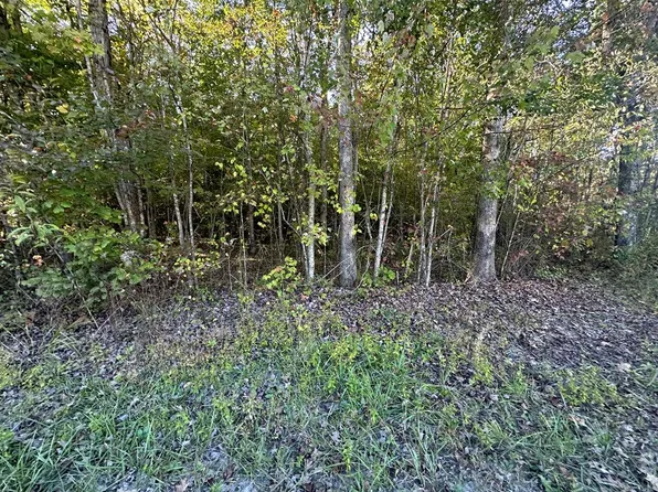 0 Falling Leaf Rd, Jamestown, TN 38556