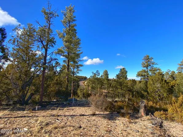 3350 Stone Bridge Trl, Heber, AZ 85928