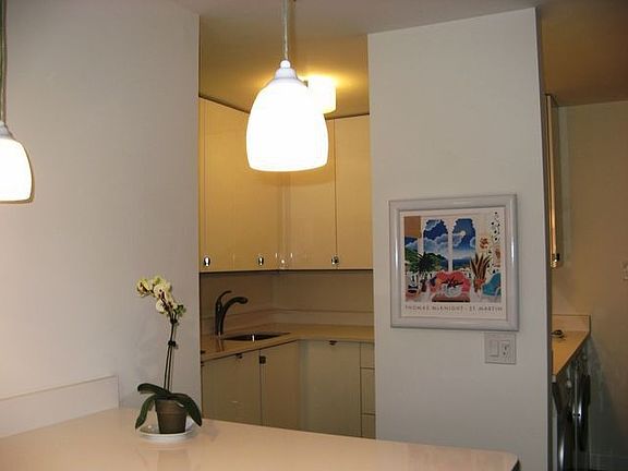 3rd image of 777 N Michigan Ave APT 605