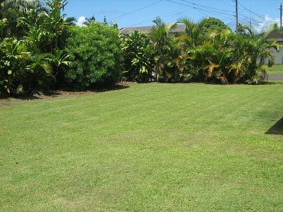 Nice yard