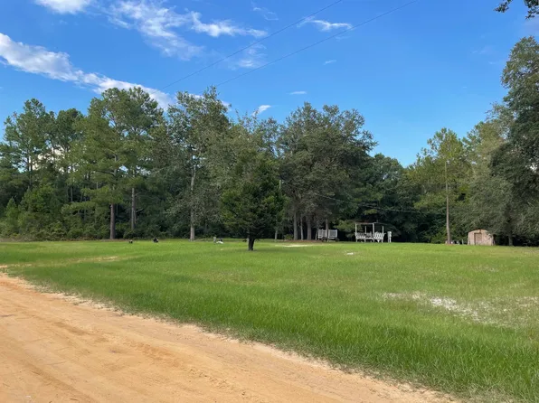 452 Tiger Ln, Douglas, GA 31533