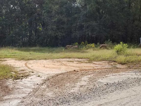 3rd image of 284 Mountain Creek Ln